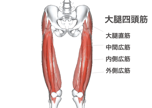 反り腰改善　～大腿四頭筋ストレッチ～