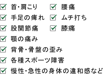 首・肩こり　腰痛　手足の痺れ　ムチ打ち　股関節痛　膝痛　顎の痛み　背骨・骨盤の歪み　各種スポーツ障害　慢性・急性の身体の違和感など